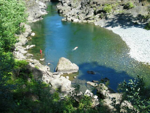 Swimming in the River