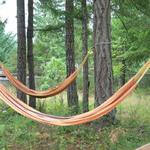 Comfy Hammocks